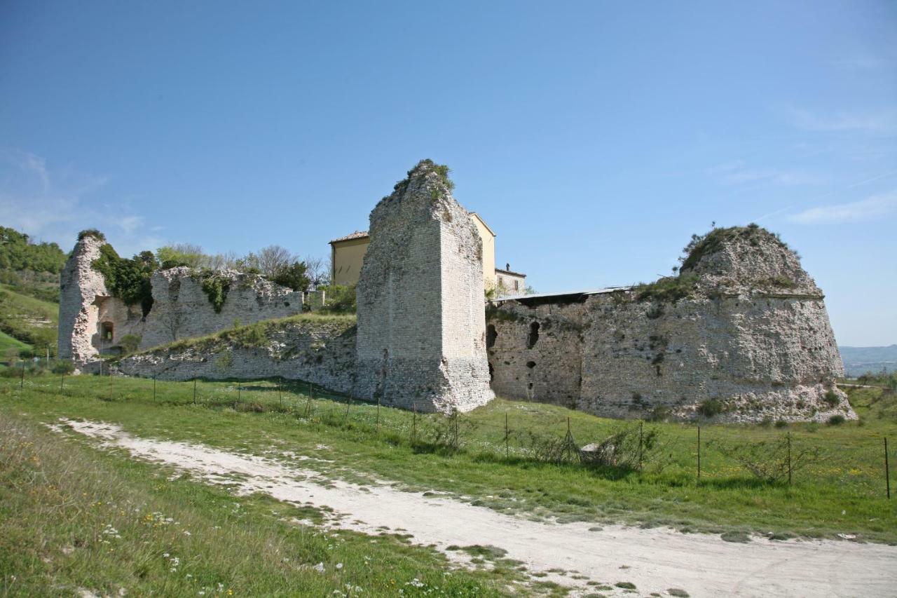 Il Cavallino Fossombrone Eksteriør bilde